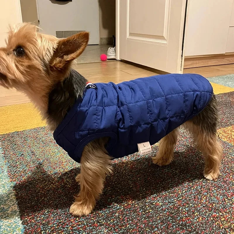 Manteau pour chien.