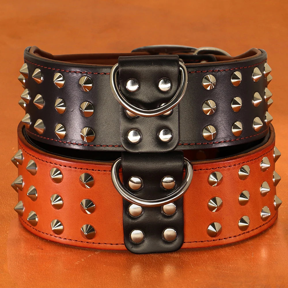 collier en cuir gros chien