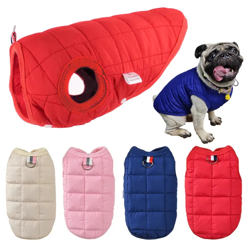 Manteau pour chien.