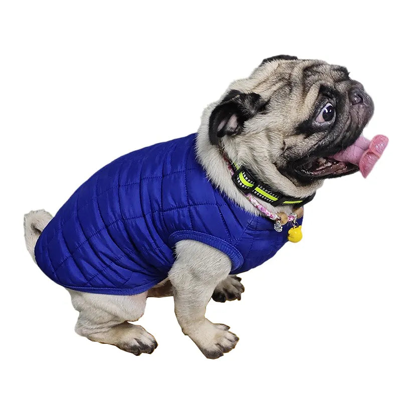 Manteau pour chien.