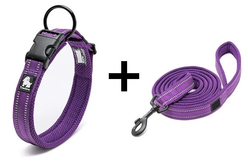 collier et laisse pour chien™ - monchiendamour/article pour chien