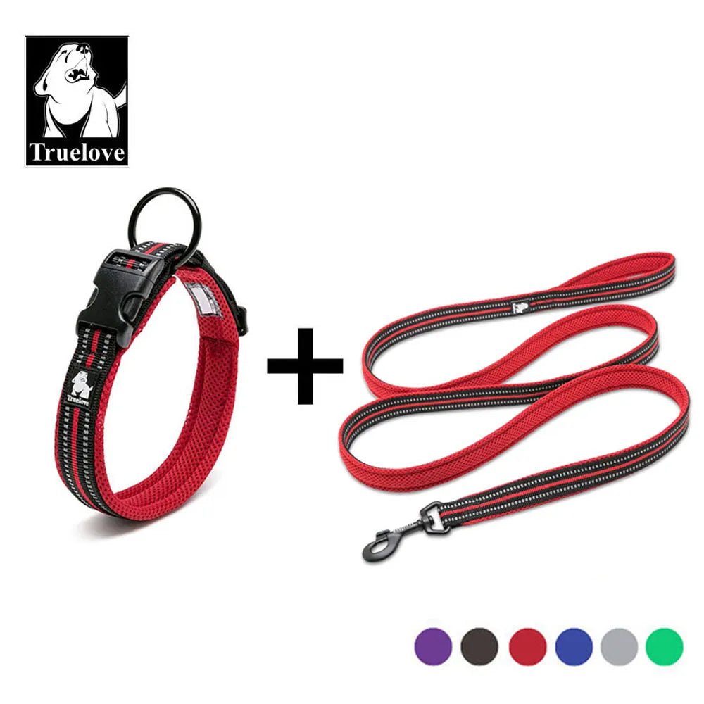 collier et laisse pour chien™ - monchiendamour/article pour chien