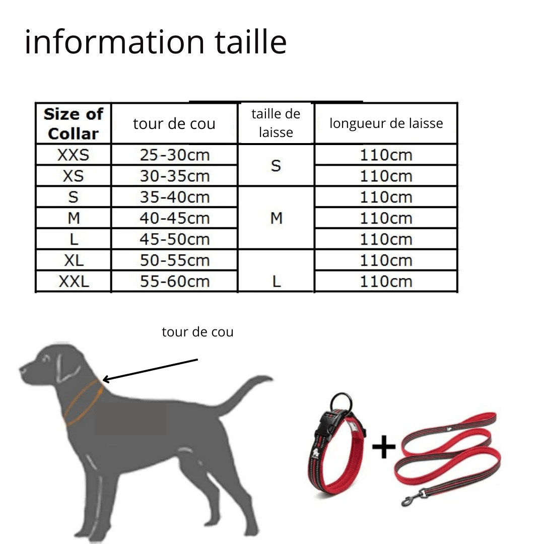 collier et laisse pour chien™ - monchiendamour/article pour chien