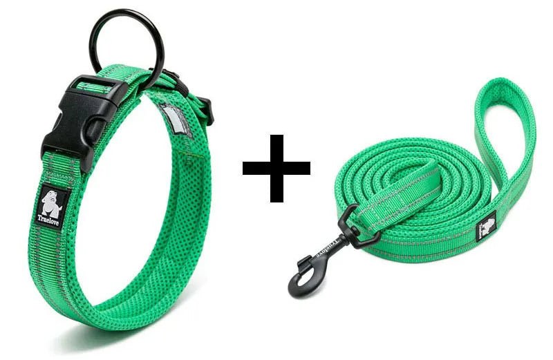 collier et laisse pour chien™ - monchiendamour/article pour chien