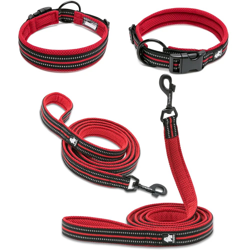 collier et laisse pour chien™ - monchiendamour/article pour chien