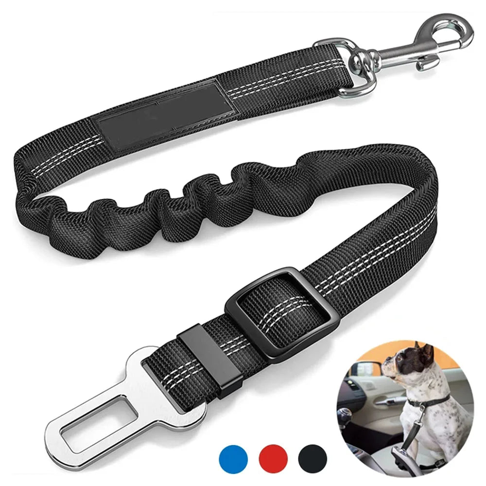 ceinture de sécurité pour chien - MY DOG