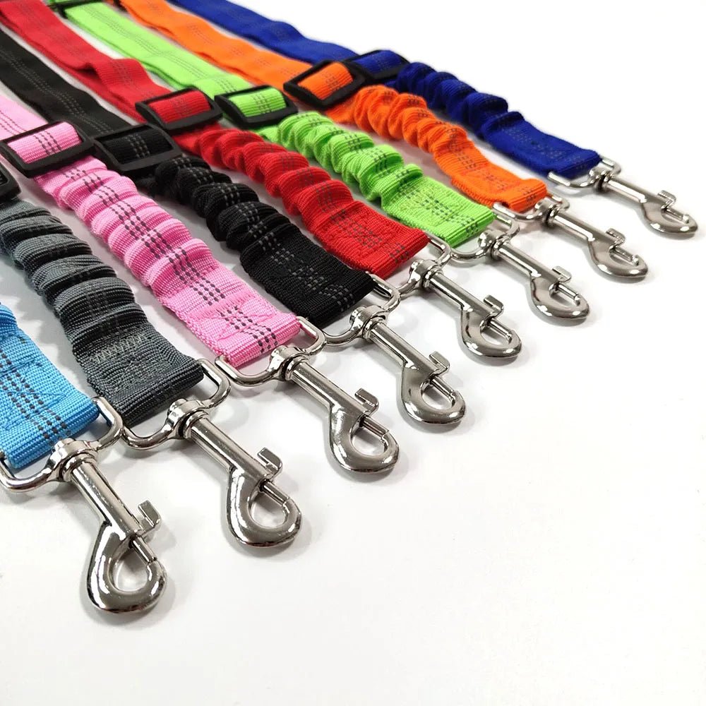 ceinture de sécurité pour chien - MY DOG