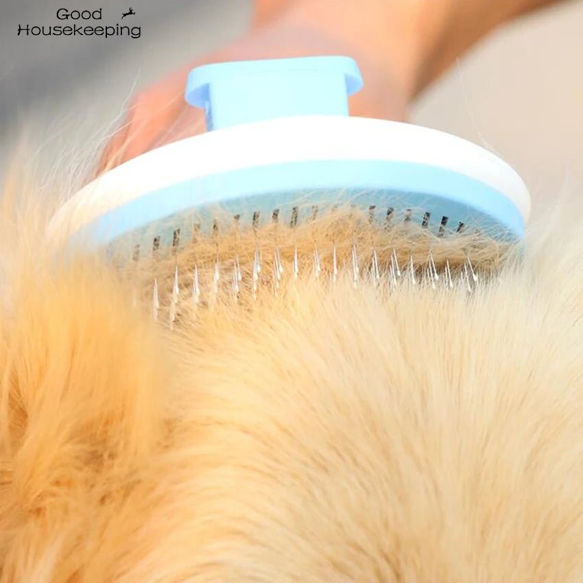 easybrosse - brosse pour chien